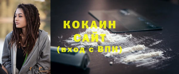 стаф Аркадак