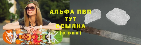 стаф Аркадак