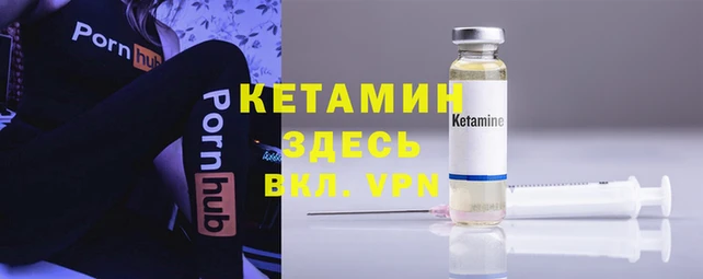 стаф Аркадак