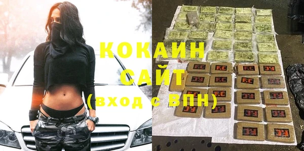 стаф Аркадак