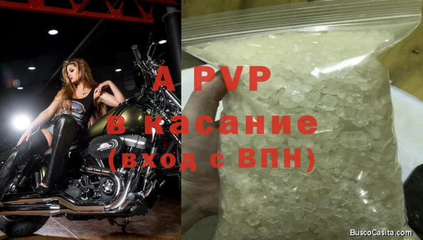 стаф Аркадак