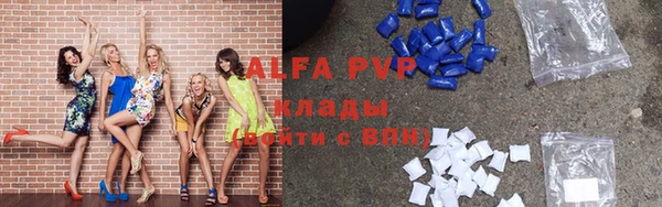 стаф Аркадак