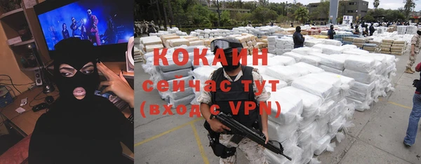 стаф Аркадак